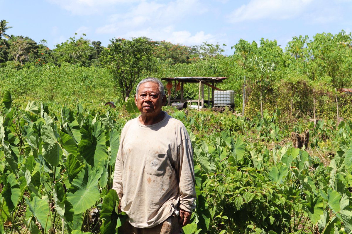 MDFGlobal's tweet image. #MDF &amp;amp; Lite Commercial Hirage (LCH) are making farm machinery services affordable in #Samoa—helping farmers like Leapai boost yields &amp;amp; incomes.
#MDFinThePacific 

@PalladiumImpact @Swisscontact