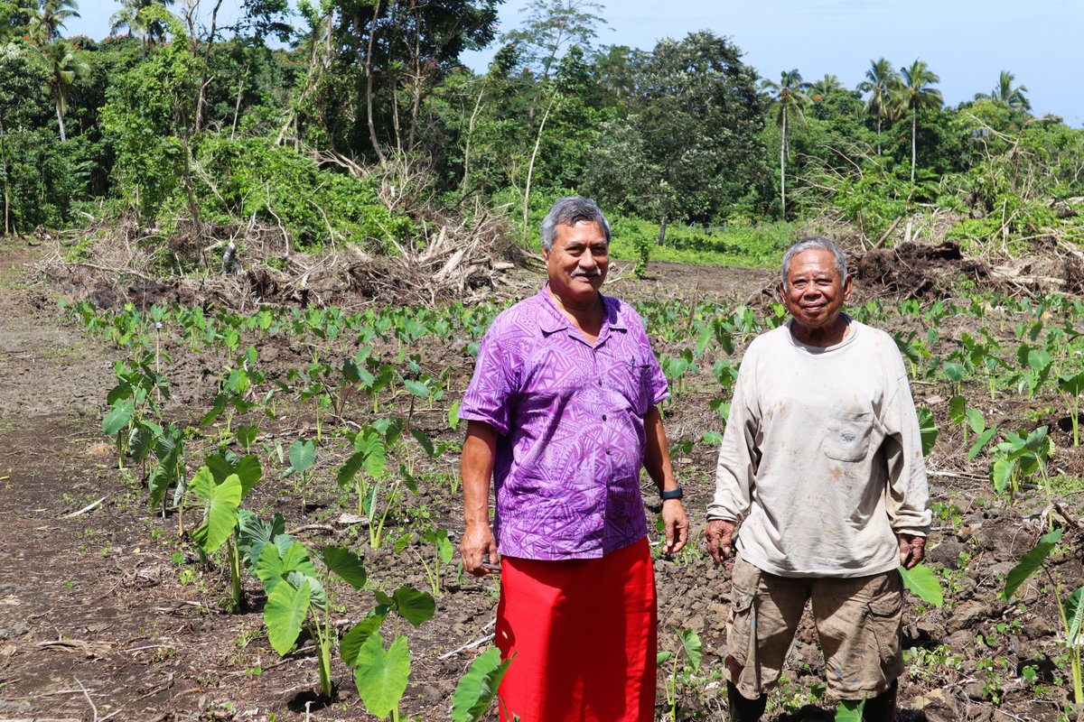 MDFGlobal's tweet image. #MDF &amp;amp; Lite Commercial Hirage (LCH) are making farm machinery services affordable in #Samoa—helping farmers like Leapai boost yields &amp;amp; incomes.
#MDFinThePacific 

@PalladiumImpact @Swisscontact