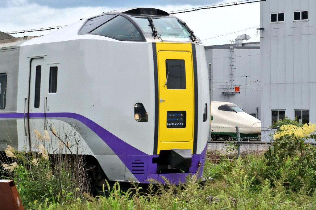 2025.08.28
J66編成が屋外に留置されていました。
陸送の時は正直まだピンと来てませんでしたが、10両編成に戻った姿を見てようやくこれから走るんだという実感が湧いてきました。

E2系が733系やキハ261系と顔を合わせてる。
半年前まで誰も信じなかったであろう光景がついに現実に。