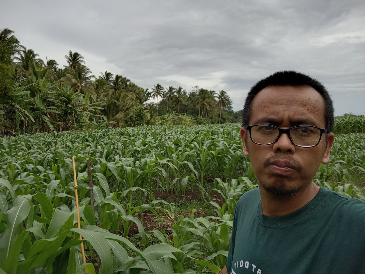 Ketahanan Pangan dalam rangka mewujudkan  Swasembada Pangan di Desa.
#DanaDesa 
#ManfaatDanaDesa