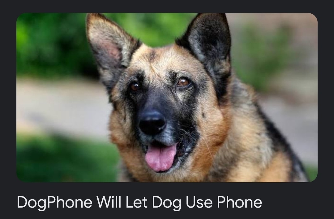 im so cozy i love my hueband and i love alcohol and everyon loves me