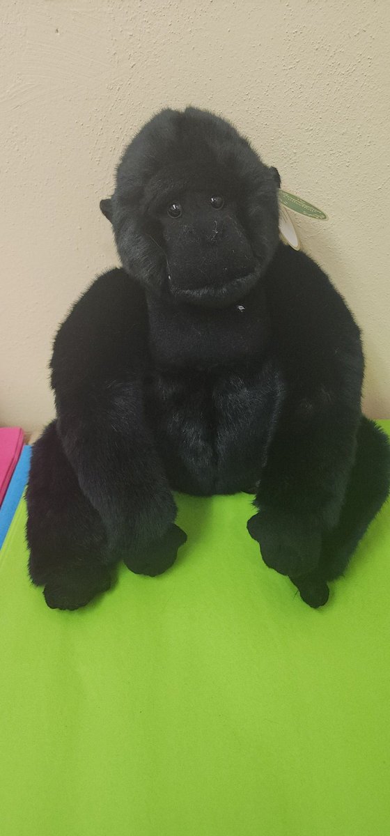 We have great quality plush animals to choose from. Warm and cuddly and guaranteed to bring a smile to everyone who sees them.