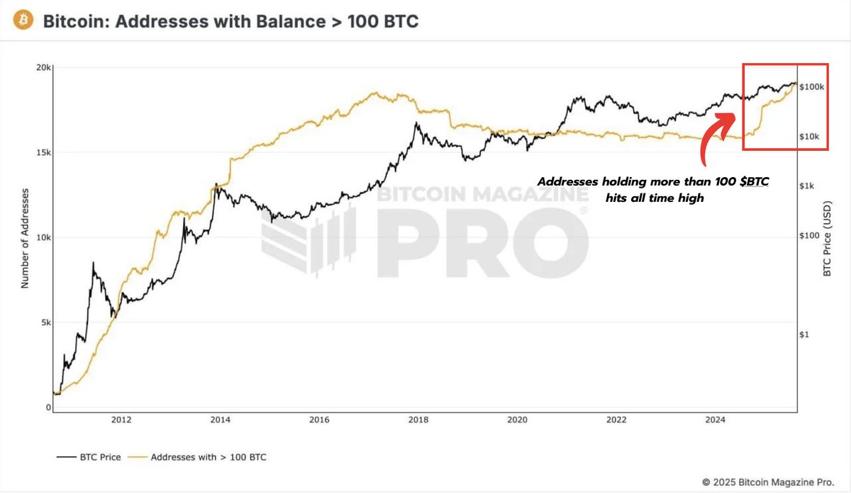 Whales are buying Bitcoin like never before. 🐋🚀 Addresses holding 100+  $BTC just hit an all-time high.