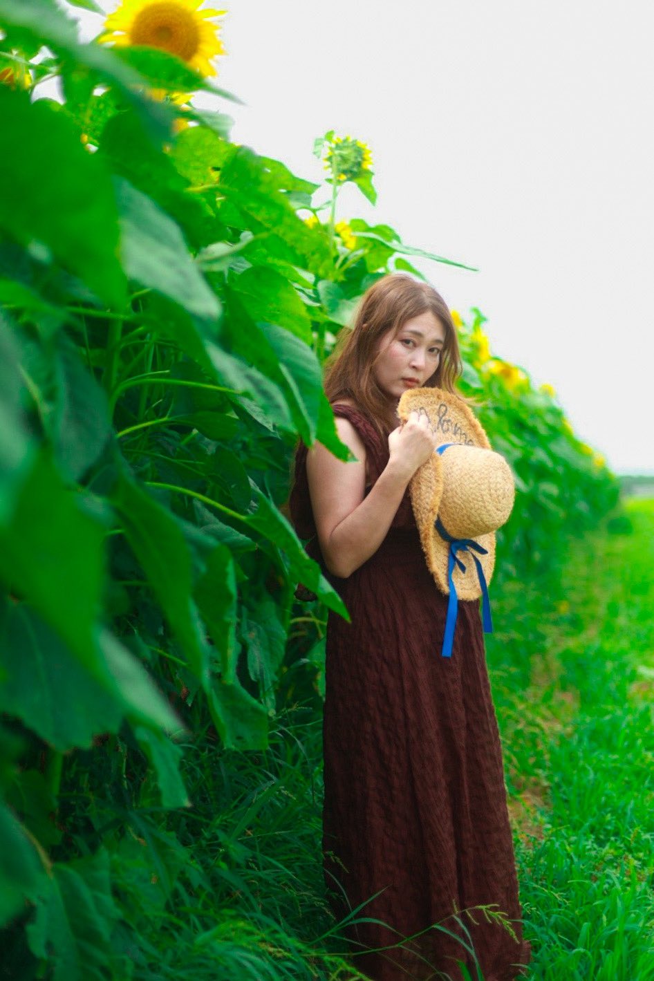 ひまわり 📍六本木ミッドタウン ひまわり畑🌻可愛い✨ 造花だからずっと