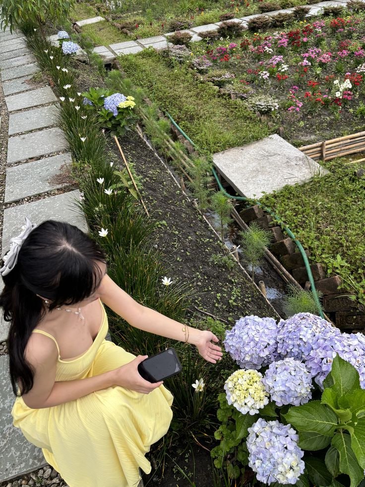 Hana Lila tweet media