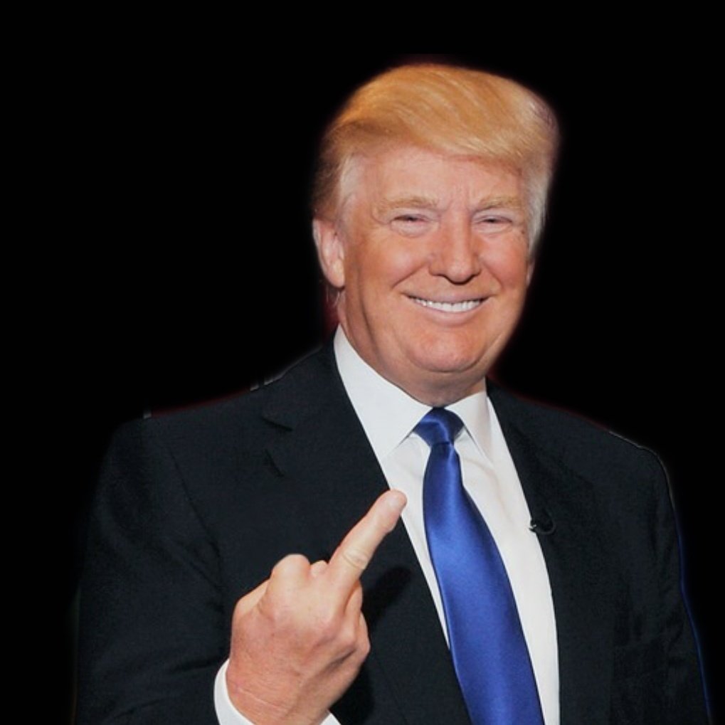 𝐍𝐨𝐫𝐦 𝐂𝐫𝐮𝐢𝐬𝐞 𝕏 (@normposter) on Twitter photo 