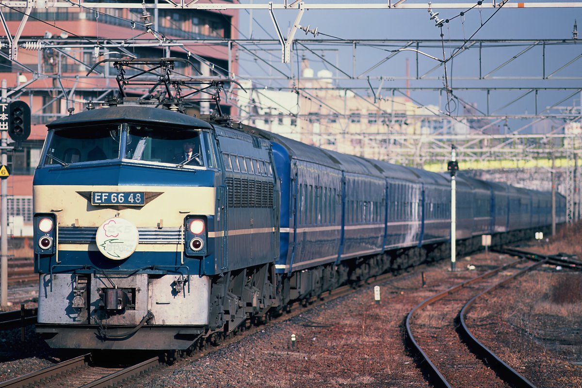 ワンマン灯　ベテランポンコツ運転手　金次第で本気出す Yamada Show | T45 bit🇺🇸✨THXMRI 👀 | Instagram