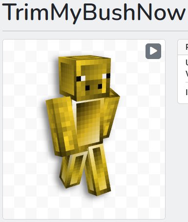 Me vs. my Minecraft skin
