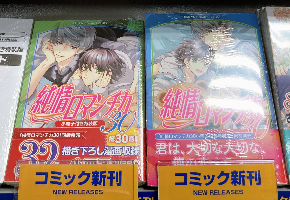 純情ロマンチカ コレクション　セット コミック】純情ロマンチカ(29) 通常版 アニメイト限定セット