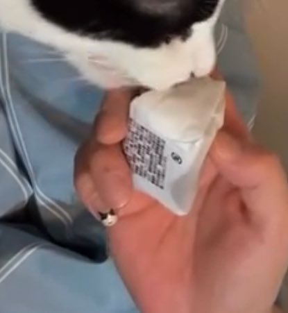 준성이 손톱이 계속 자라니까 네일 망치 얼굴이 밑으로 밀려나 ㅋㅎㅋㅎㅋㅎㅋㅎㅋㅎㅋㅎㅋㅎㅋㅎㅋㅎㅋㅎㅋ