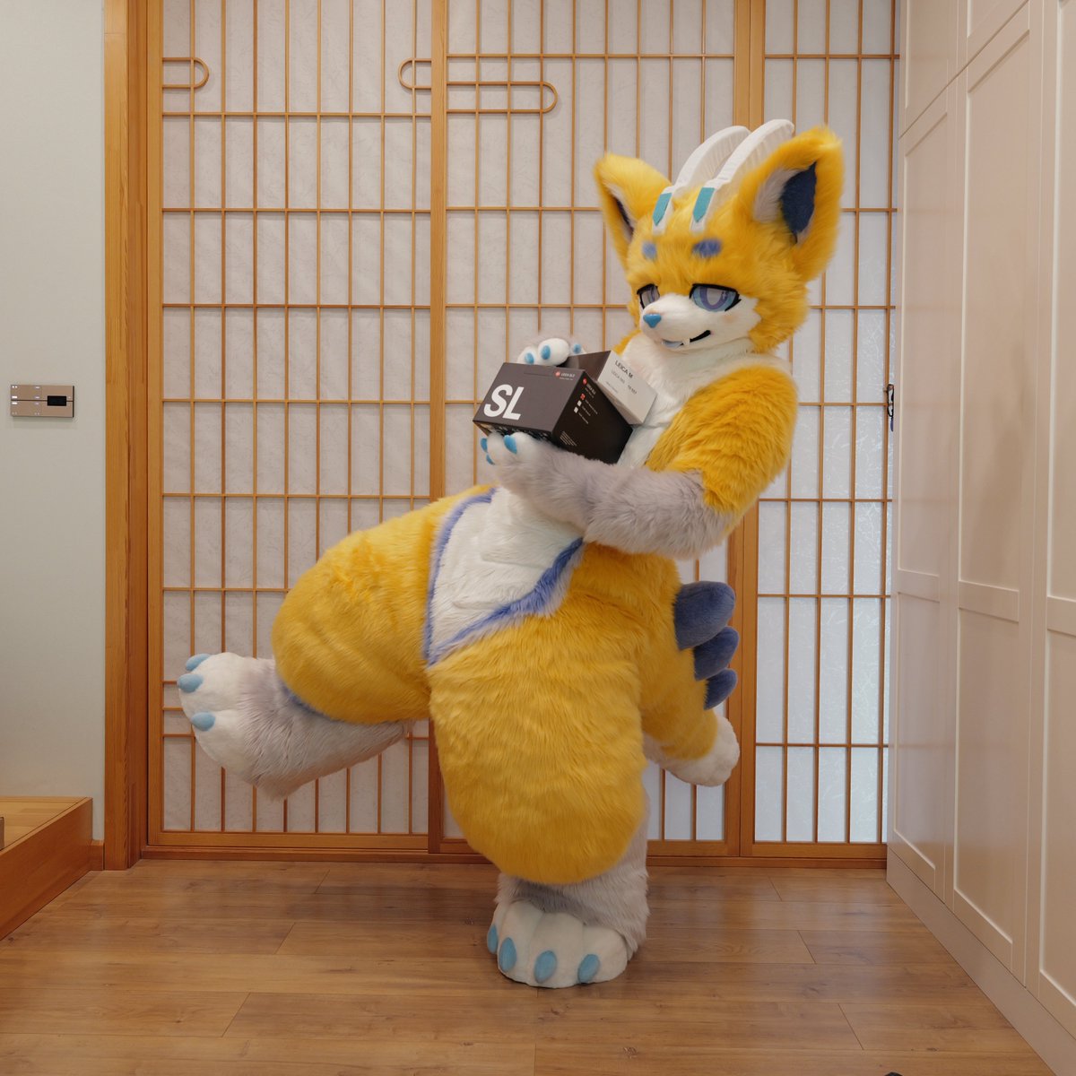 핀키Fenky🎞️ tweet media