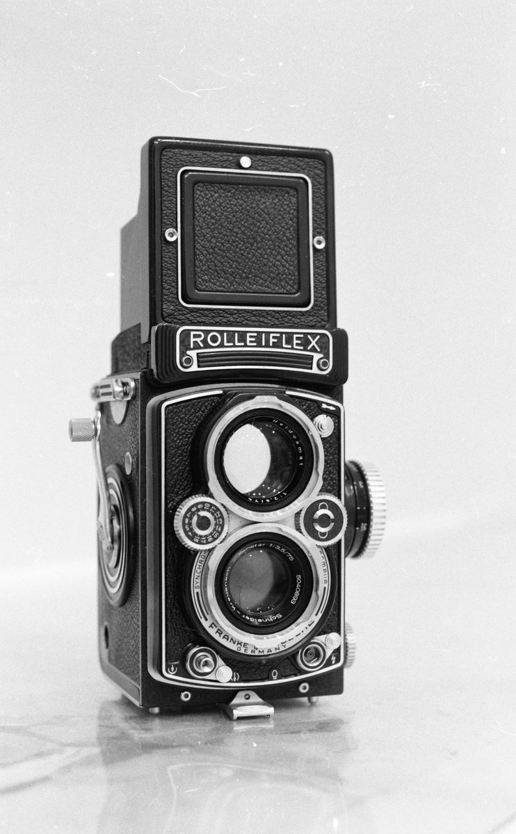 핀키Fenky🎞️ tweet media