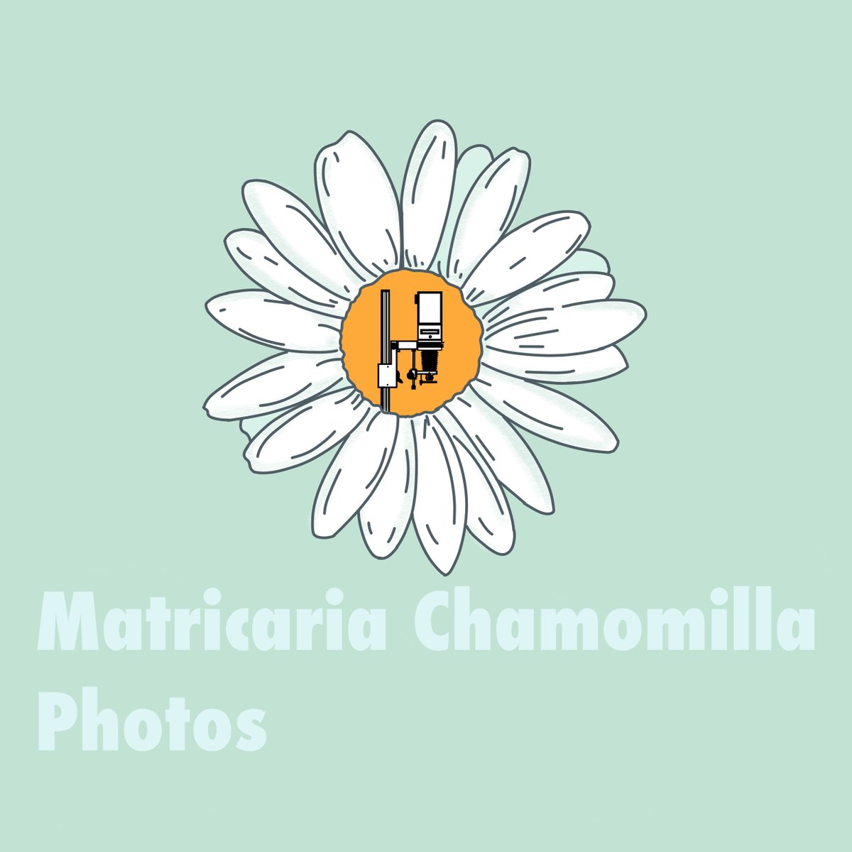 핀키Fenky🎞️ tweet media