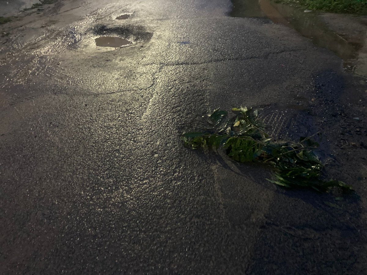 Param Pandya tweet media