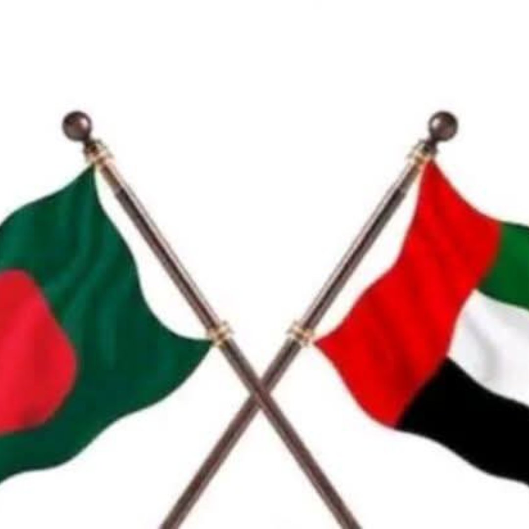 الحياة مليئة بالآلام، وليس كل الأحلام تتحقق للإنسان. أمنيتي الصغيرة أن يحققها لي أحد الكويتيين من بين الآلاف، فيعطيني تأشيرة للعمل ابتغاء مرضاة الله. جزاكم الله خيرًا.