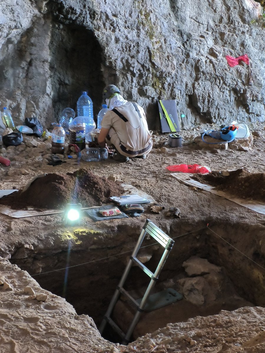 Małgorzata Kot tweet media