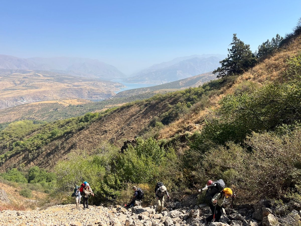 After 2-weeks break came back to Darvazalik Cave. 450cm of Holocene sediments and counting. Ugh. <a href="/INASIA_ERC/">INASIA</a>