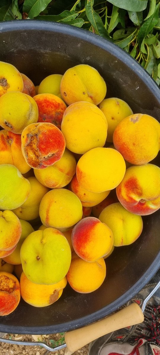 Jai la pêche
 ça mouille
(Non ce n'est pas ce que vous croyez bande de coquin)