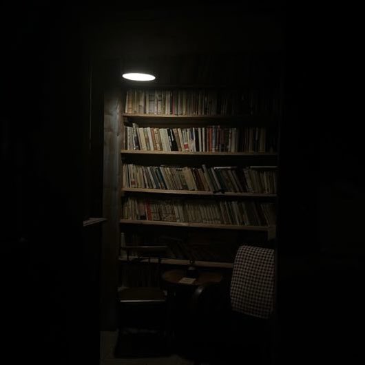 _daonverse's tweet image. 