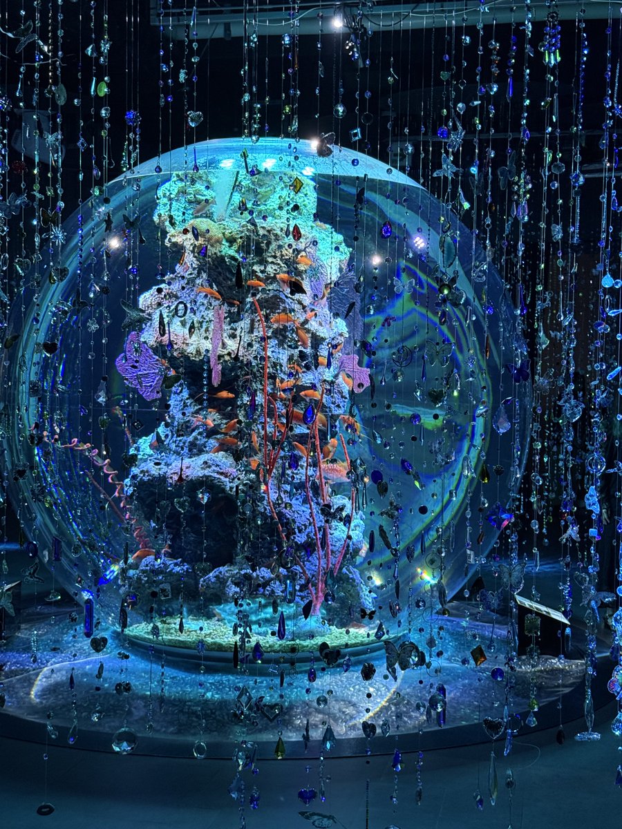 ✨劇場型アクアリウム「#アトア（átoa）」で
「蜷川実花 with EiM 共鳴するアクアリウム」
がスタート✨（～11月3日まで）

神秘的な煌めきにいつまでも包まれていたい素晴らしいインスタレーション作品です。

＃チョコレートミュージアム とのお得なセットチケットはこちらasoview.com/channel/ticket…