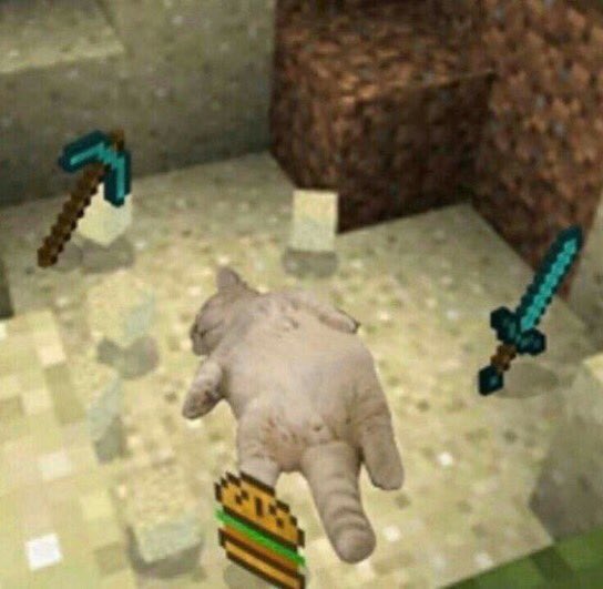 frogtexts's tweet photo. this is how life has been for like 5 years now https://t.co/VlDswzbFIl