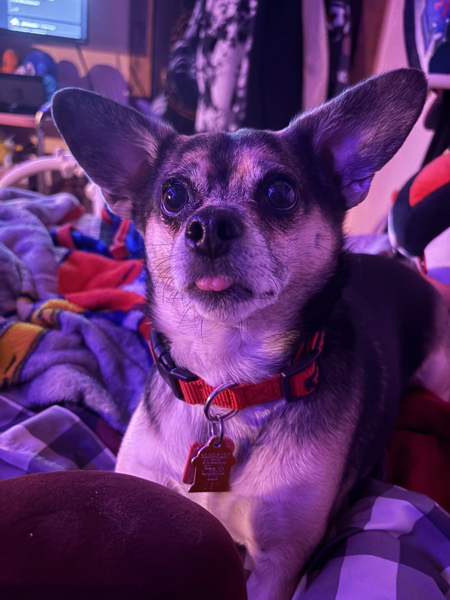 she stares at me like this and doesnt blink whenever i eat