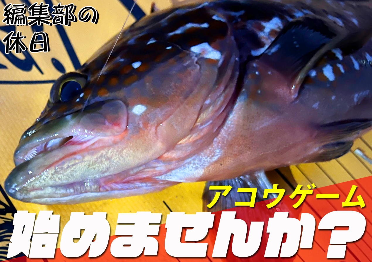 OLYMPIC/Graphiteleader_official (@OLYMPIC_JPN) / X