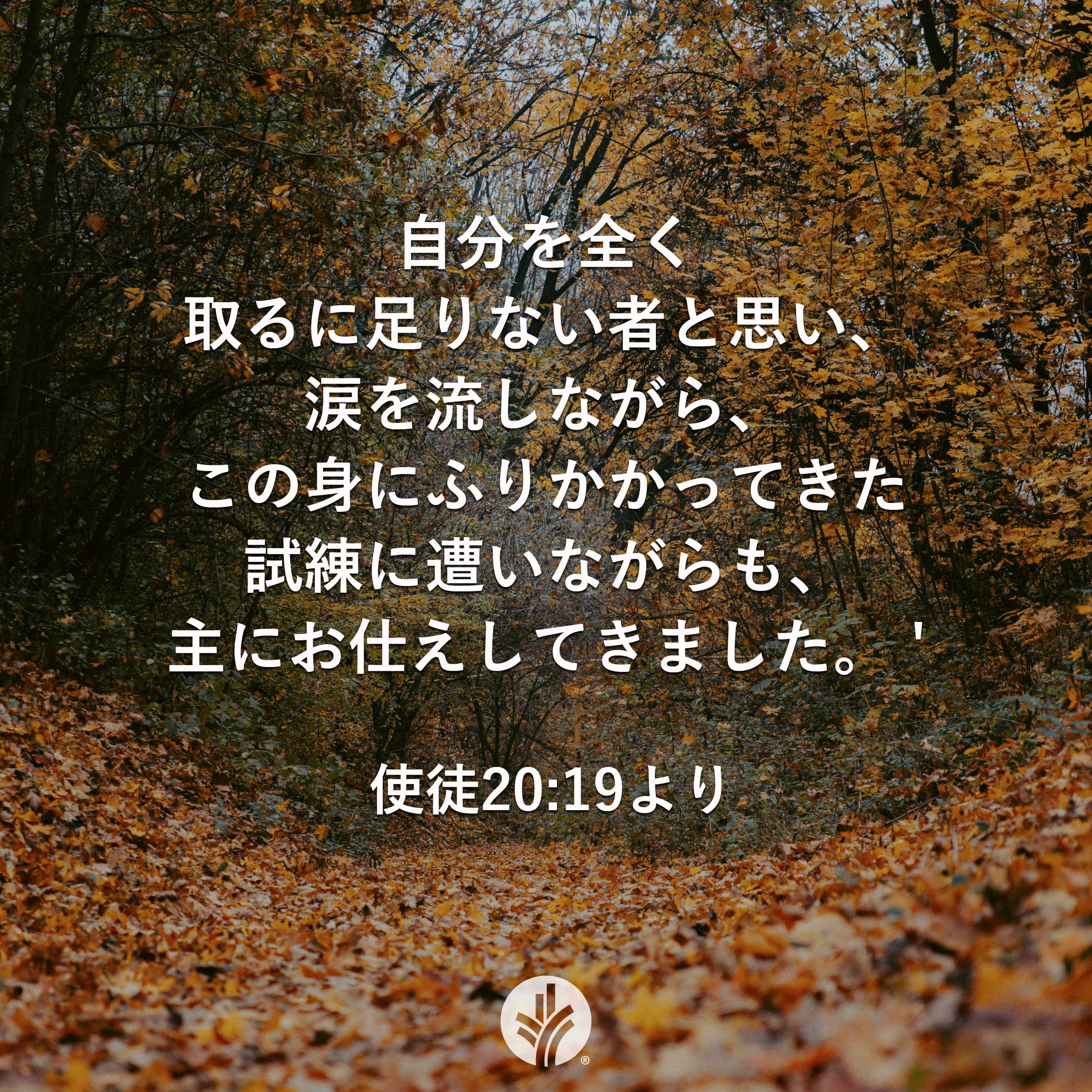 デイリーブレッド (@daily_bread_j) / X