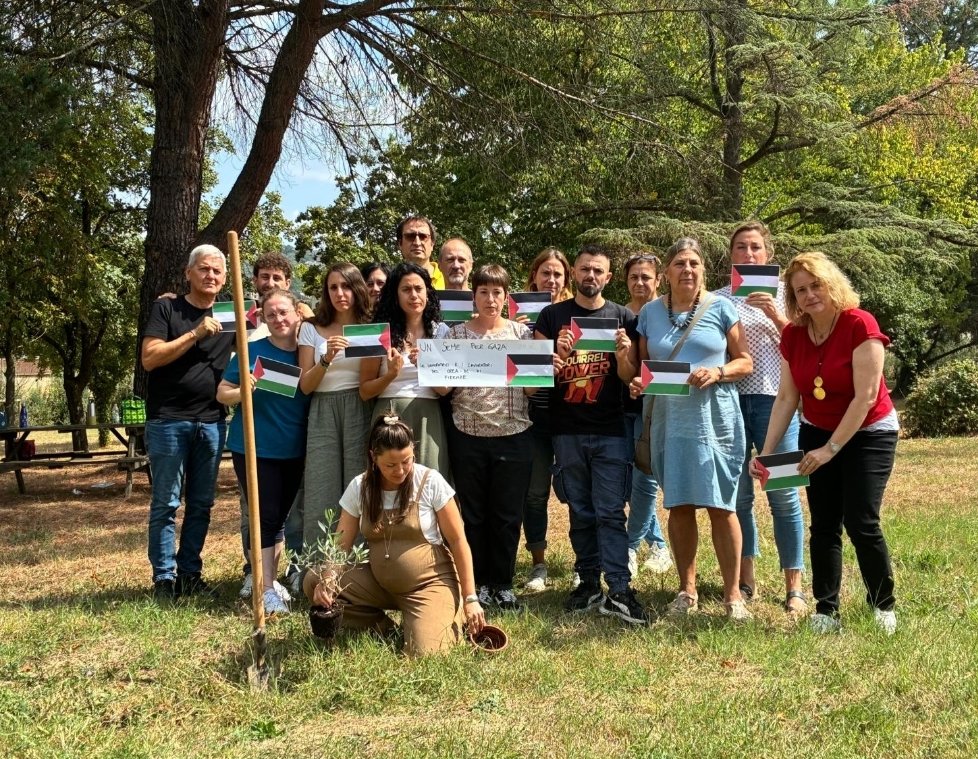 Giulia Torrini tweet media