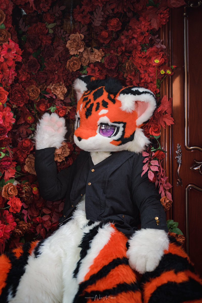 LigerRoxy tweet media