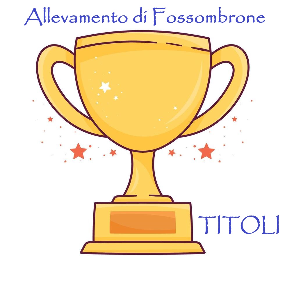 DiFossombrone's tweet photo. 𝐓𝐢𝐭𝐨𝐥𝐢 𝐓𝐎𝐓𝐀𝐋𝐈 𝐕𝐢𝐧𝐭𝐢 𝐧° 𝟒𝟒𝟏
𝐓𝐢𝐭𝐨𝐥𝐢 𝐌𝐨𝐧𝐝𝐢𝐚𝐥𝐢 𝐯𝐢𝐧𝐭𝐢 𝐧° 𝟑𝟖
𝐄𝐱𝐩𝐨 𝐓𝐨𝐭𝐚𝐥𝐢 𝐯𝐢𝐧𝐭𝐞 𝐧° 𝟏𝟑𝟑𝟗
𝐁𝐞𝐬𝐭 𝐎𝐟 𝐁𝐫𝐞𝐞𝐝 𝐨𝐭𝐭𝐞𝐧𝐮𝐭𝐢 𝐧° 𝟕𝟖𝟔

PALMARES ---> https://t.co/eqnLI93Zo5 https://t.co/3noR76cThH