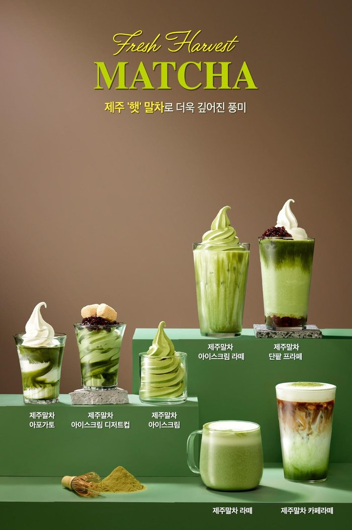 폴바셋 오늘부터 제주말차 시즌 시작