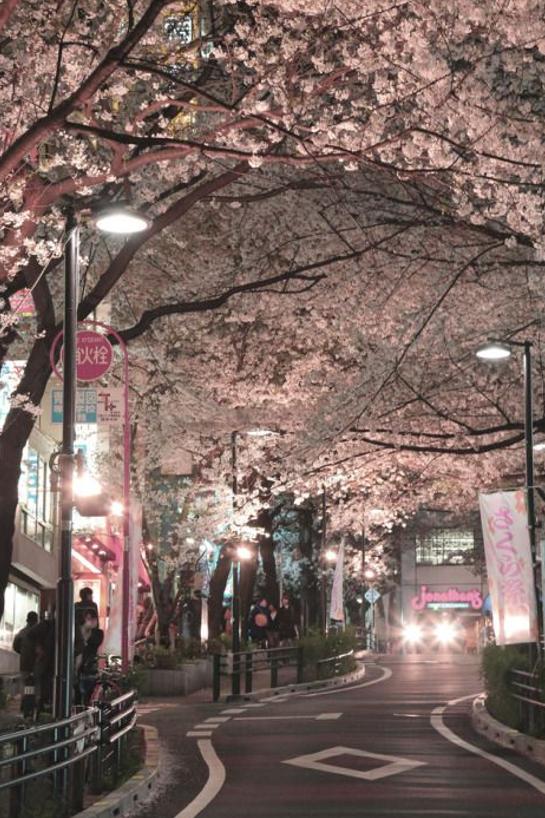 おはよう、心に潤いを与えよう！ さあ、起きよう！