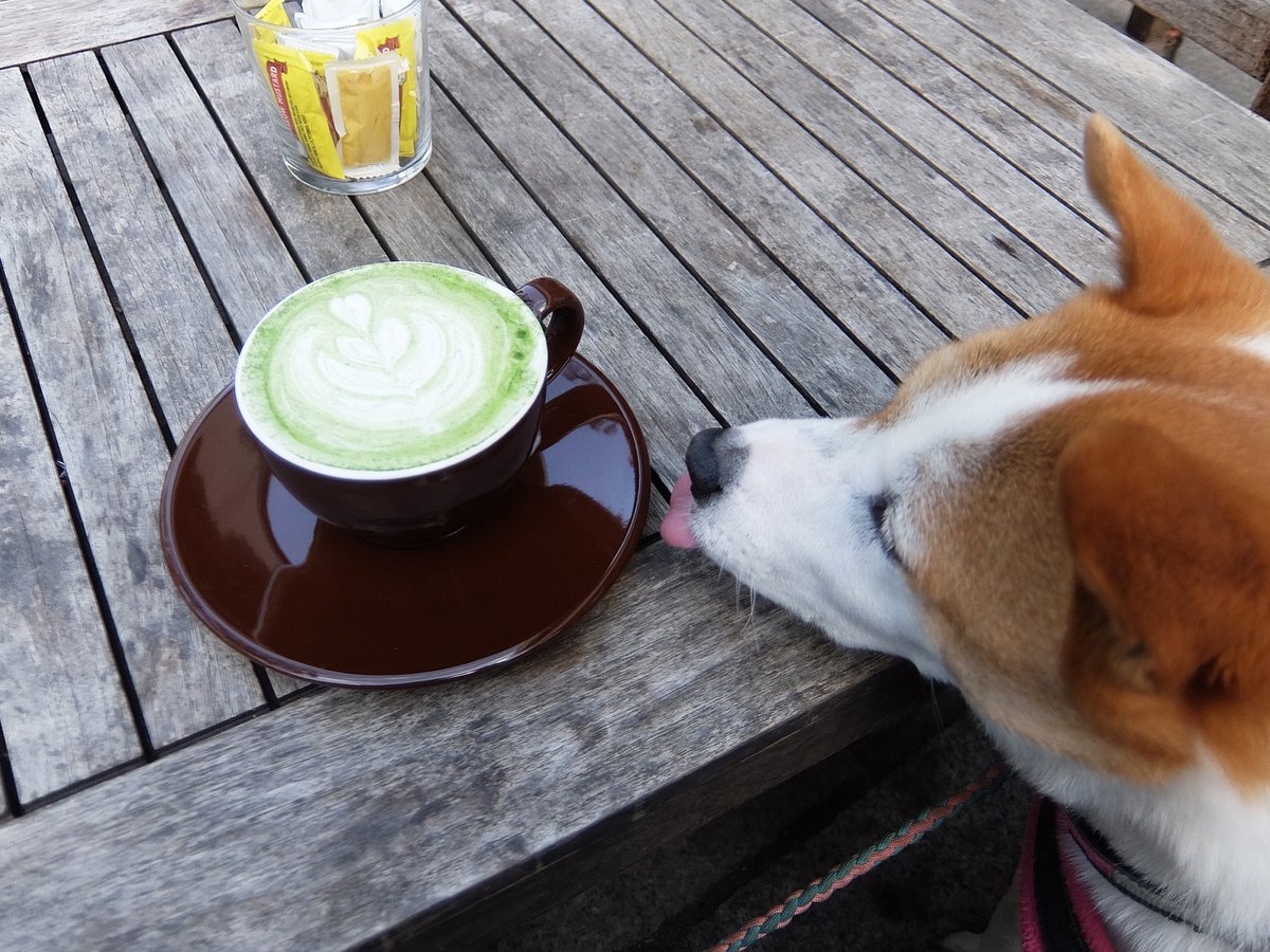 テラスで午後ティー