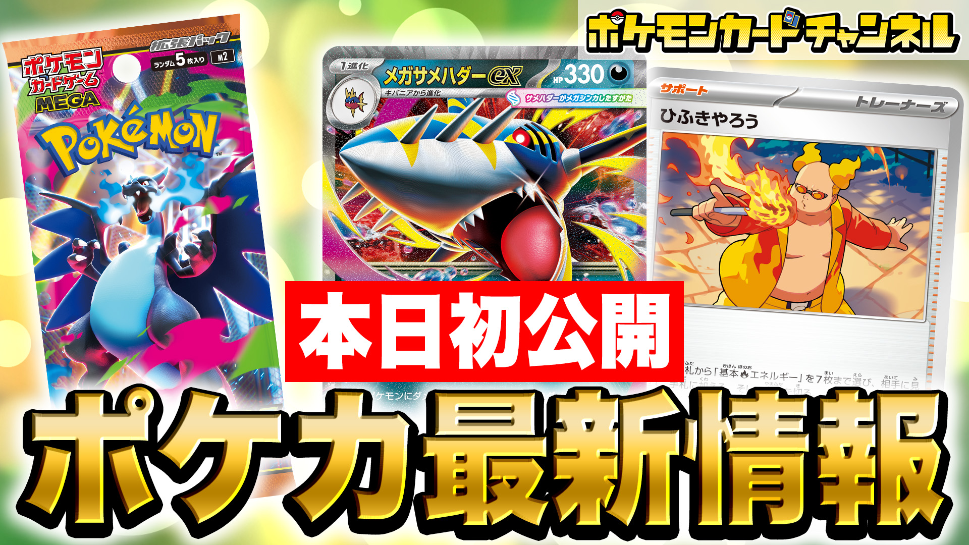 ライチュ梅川【ポケカ公式ch】　考案　オーダイル構築済みデッキ ライチュ梅川【ポケカ公式ch】 考案 オーダイル構築済みデッキ