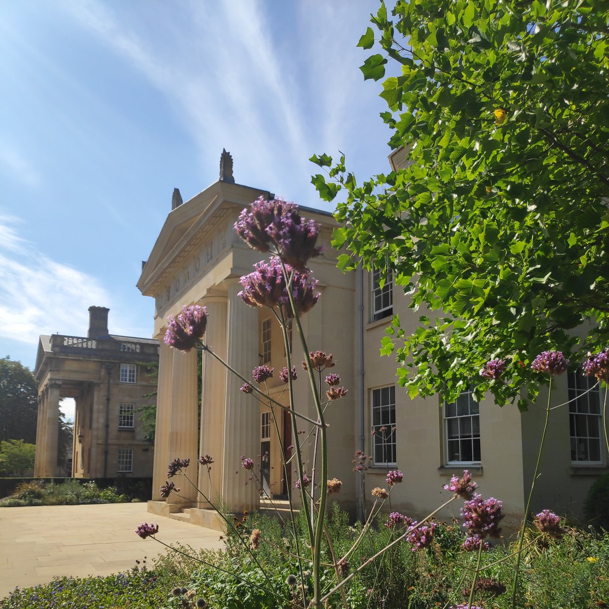 Maitland Robinson Library, Downing College

#fridayflowers
#Cambridge