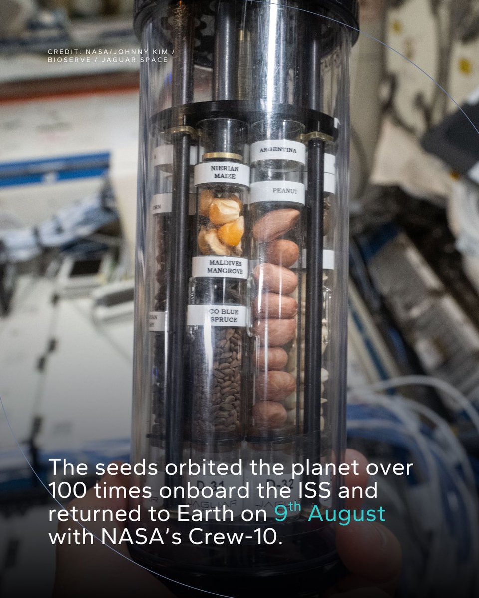 Maldives Space Research Organisation tweet media