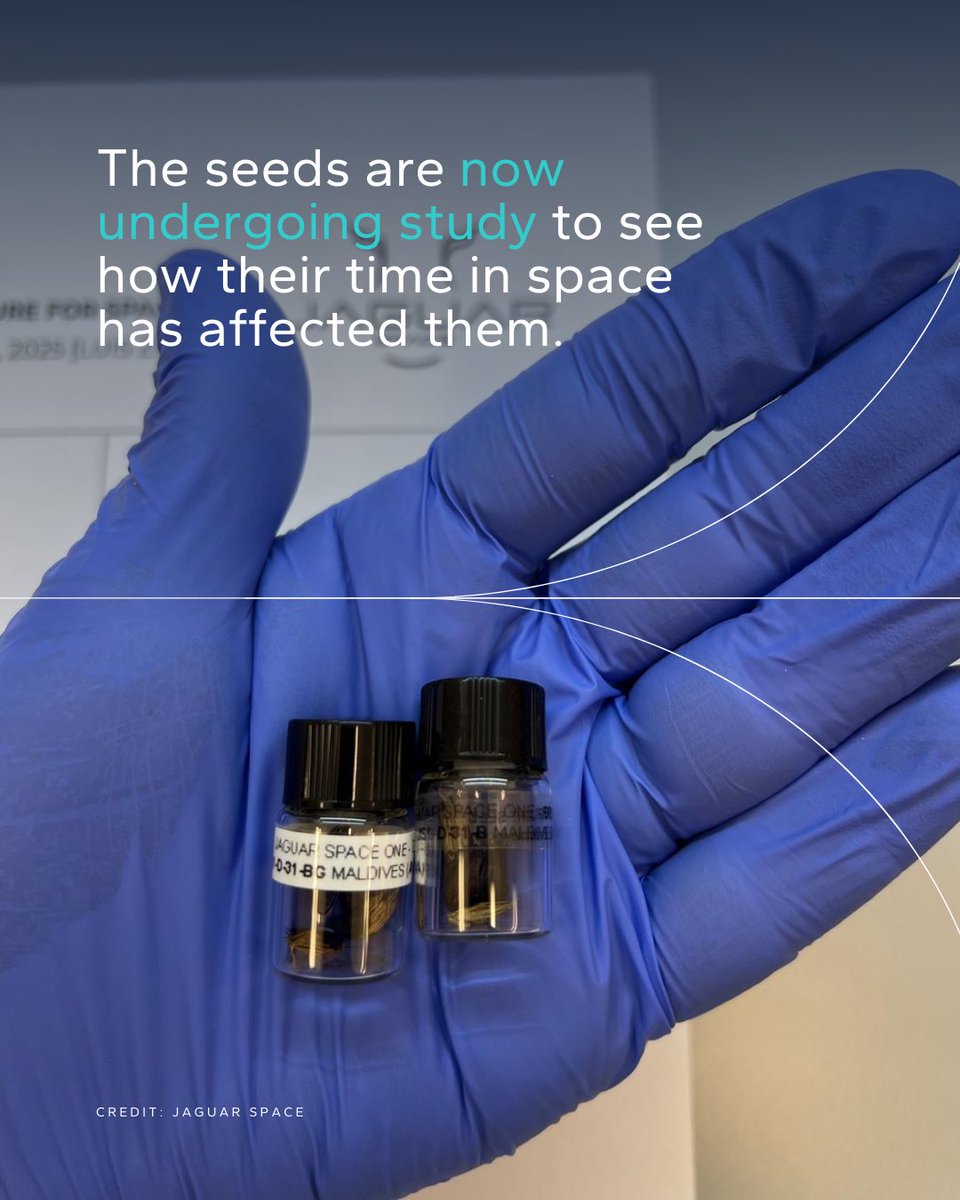 Maldives Space Research Organisation tweet media