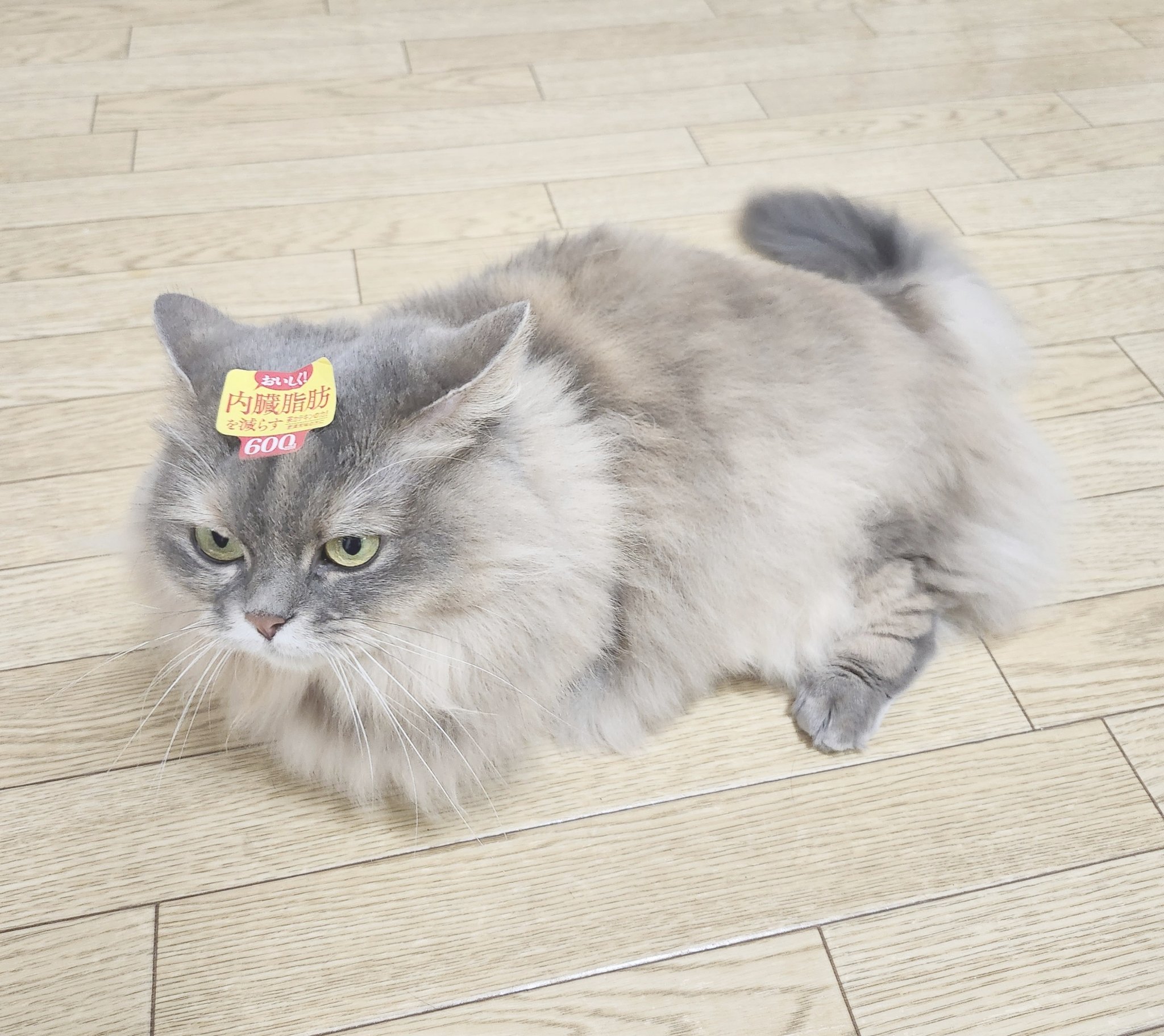 ナズナとスズナ🌱 (@fwfwnzn) / X