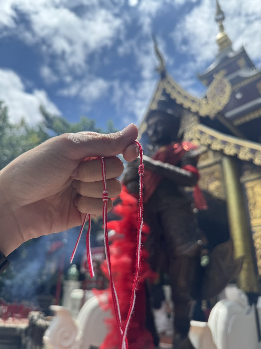 ต้นหลิวเด็กจิ๋ว tweet media