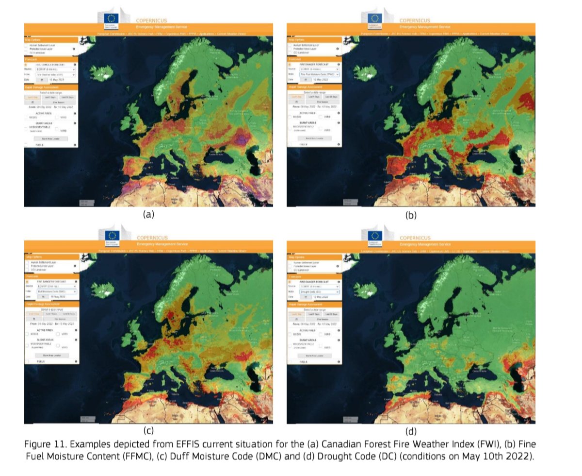 ObservingNature tweet media