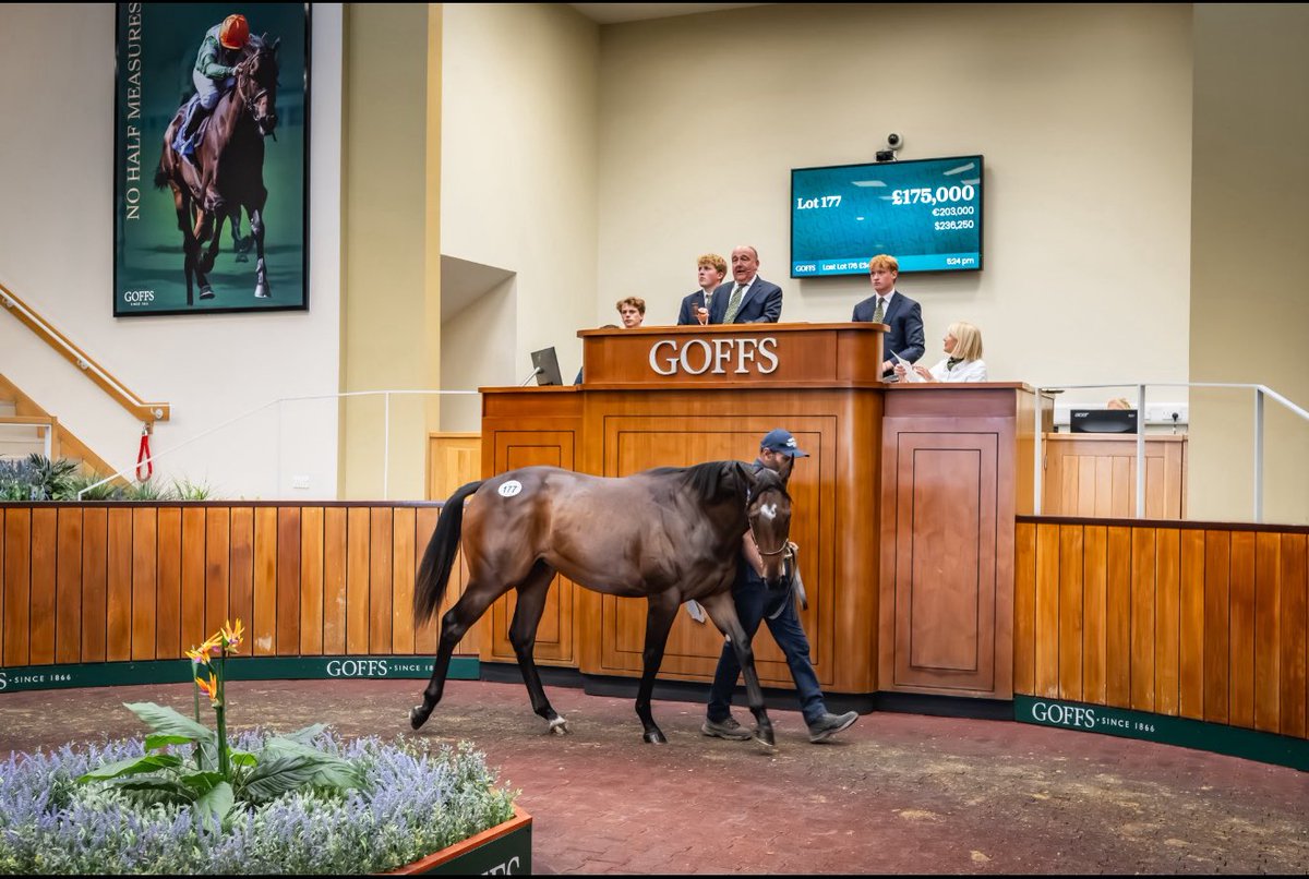 Longview Stud tweet media