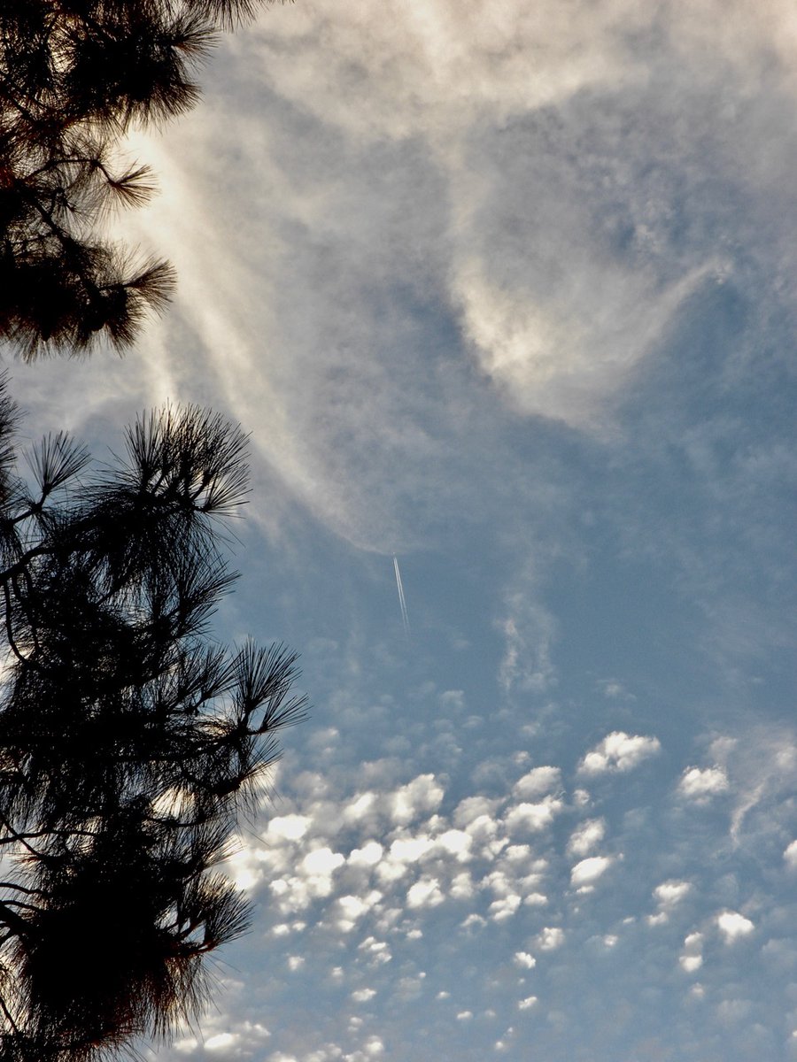 Chester L. Richards

THE TRAVELER

#photographyeveryday #photographyart #landscapelovers #landscapephotography

Photo copyright © 2024 Chester L. Richards – All rights reserved