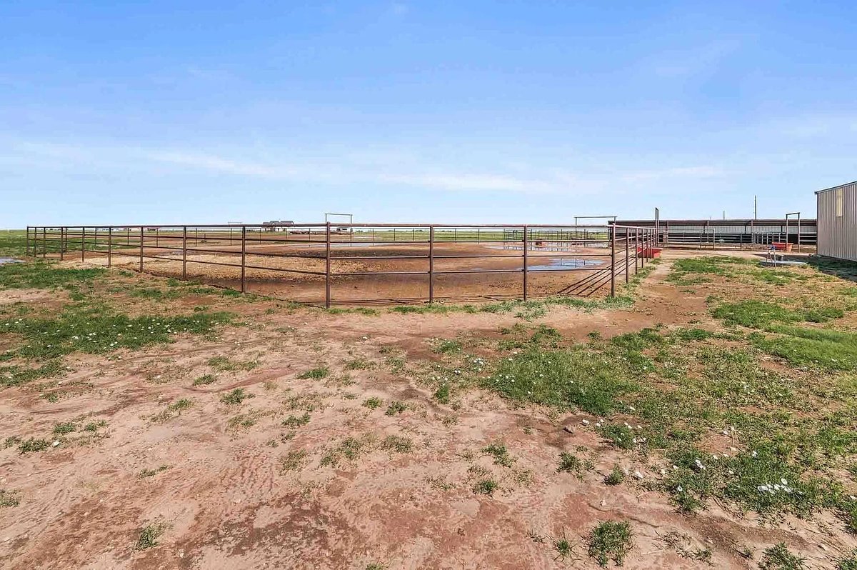 TxHorseProperty's tweet image. CANYON, TEXAS PANHANDLE. 10.18 fenced acs, cul-de-sac. 1 bed apt. Insulated shop w/2 doors, open bay, covered barn areas w/220 amp plugs. 2 lean-tos, 2 turnouts, 3 shedrow pens, square pen, arena. 2 wells. $350K #txhorseproperties #canyontx #texaspanhandle tinyurl.com/26351Canyon