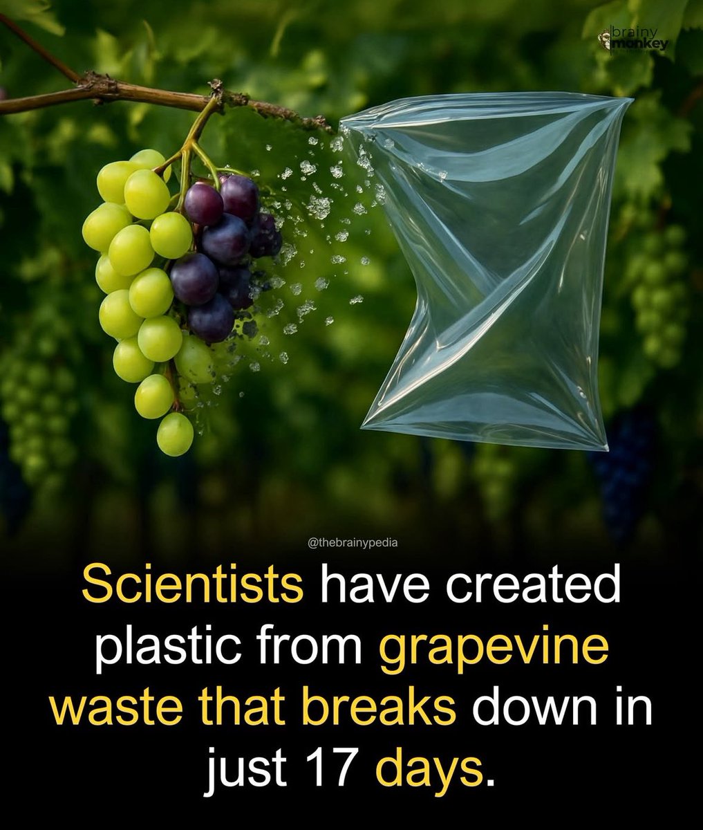 kavitaashok1969's tweet image. Innovation ! 
#biodegradable #plastic #SouthDakotaUniversity