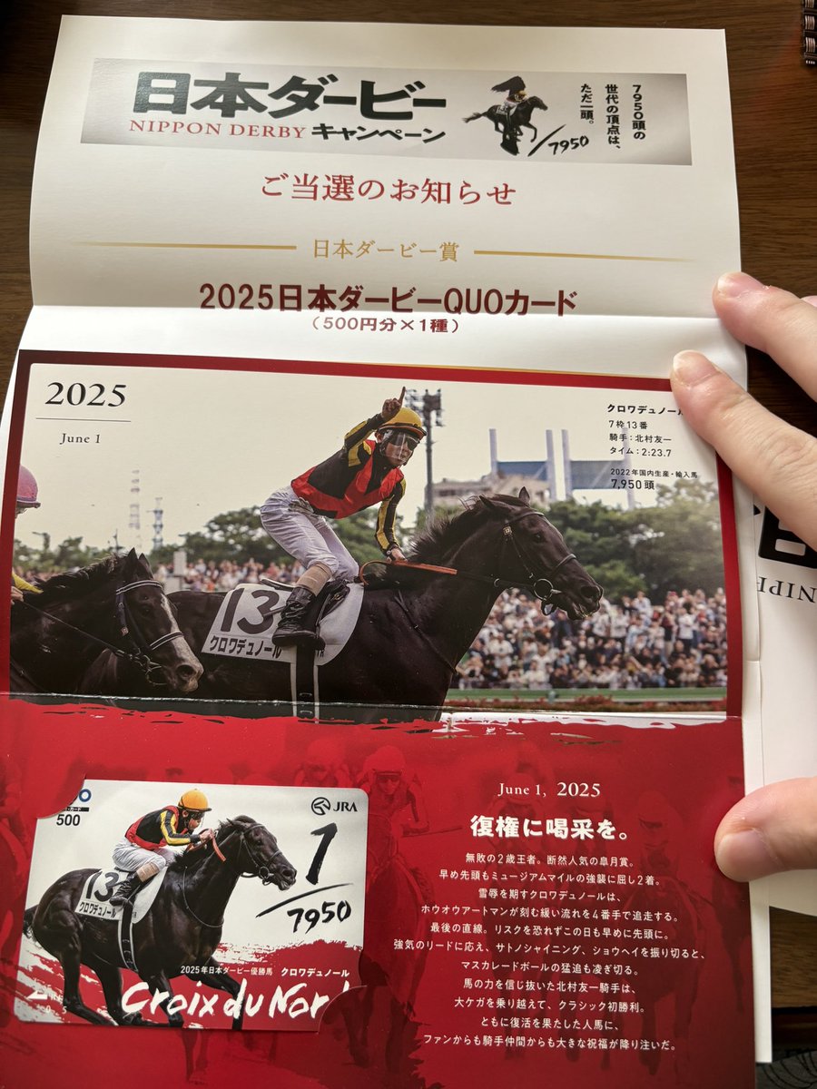 日本ダービー 25年日本ダービーを振り返る～動かない隊列と線で繋がった意味の
