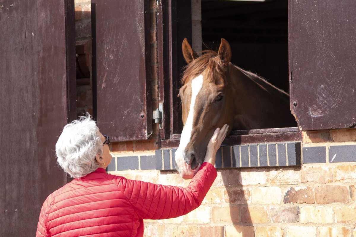 Yesterday morning we once again were proud to support National Racehorse Week.

The weather was better than forecast, the visitors were fully engaged, the staff were brilliant and the horses loved the attention!

More pictures are available here 
👇
shorturl.at/KDEtl
