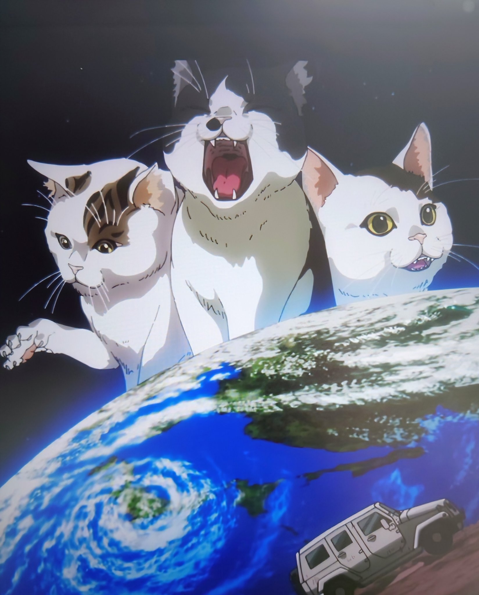 チビ猫❣ リクエスト 2点 まとめ商品 猫渕さんぬいぐるみ 51857004 | necobuchisan