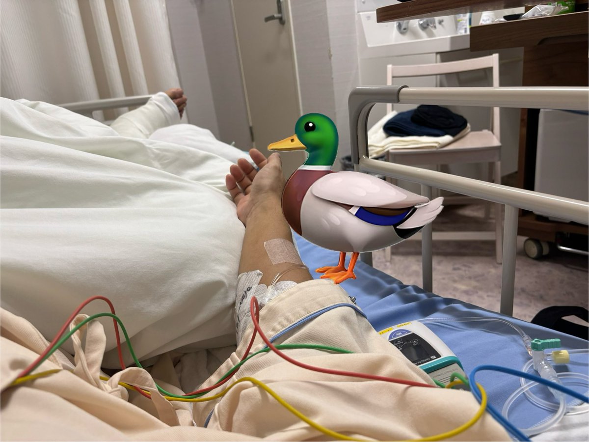 現在入院中で無事手術も終わりました

この状況でclusterにログインしてもチャットもままならないです

いきなりログアウトしてしまう事もあります

無視してる訳では無いのです🥺

知っておいて貰えるとありがたいです