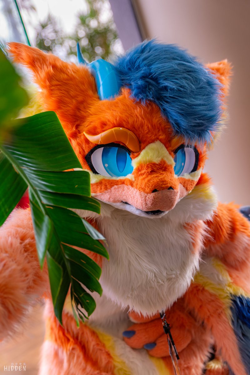 Come here often? 😇 #FursuitFriday